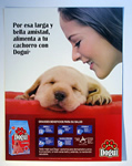 Clic para ampliar